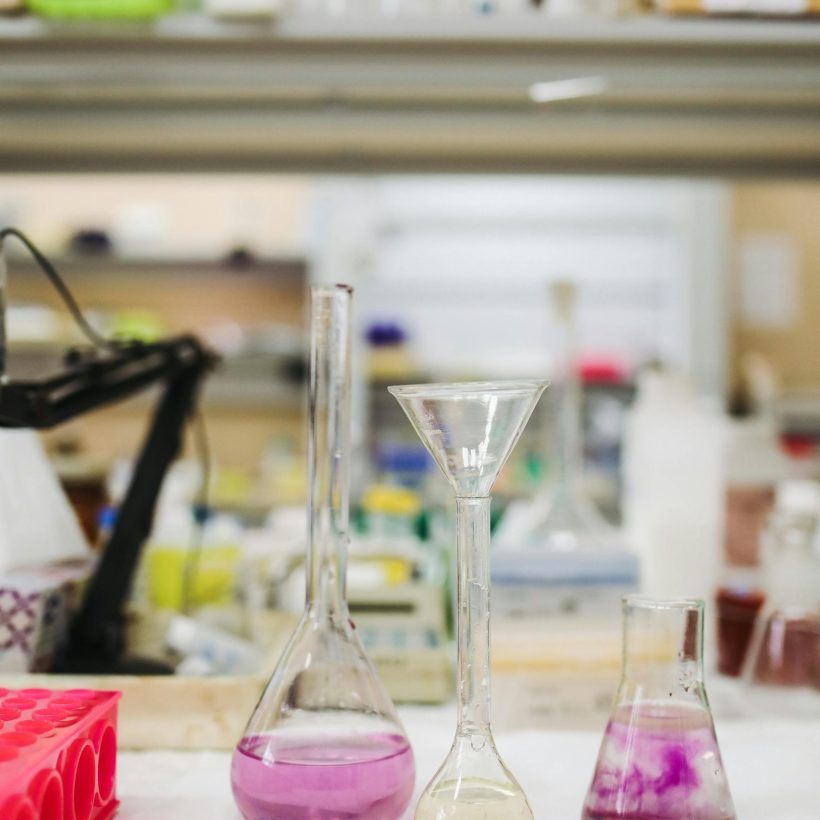 pexels-polina-tankilevitch-3735703